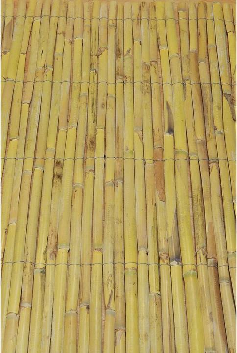 Actual product image Faura Screen Refendue