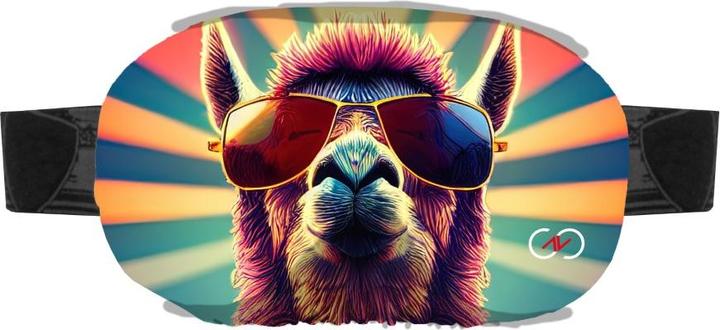 Goggl-Z Original (Skibrille Schutzhülle)