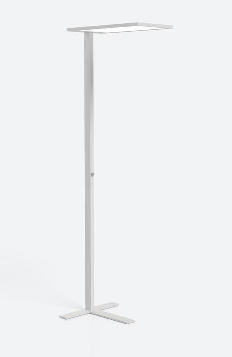 Actual product image ofinto Lumino (10000 lm)