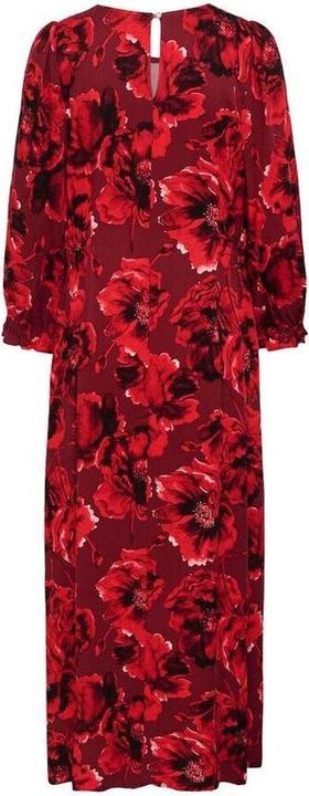 Image du produit Culture Rachel Elitha (M)