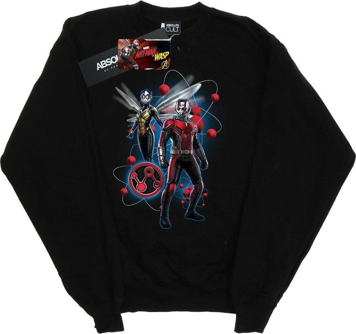 Produktbild Jungen AntMan Und Die Wespe Partikel Pose Sweatshirt (128)
