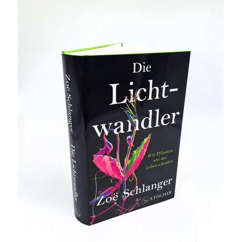 Die Lichtwandler, Ratgeber von Zo Schlanger