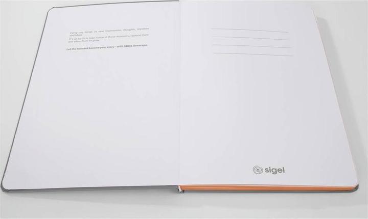 Image du produit Sigel Notizbuch A5 Linescape hellgrau/orange (A5, Quadrillé, Couverture rigide)