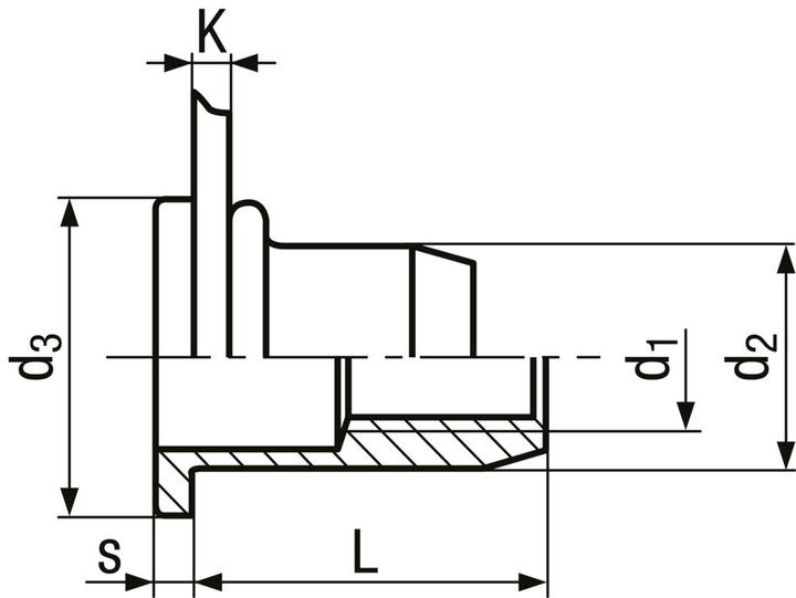 Produktbild Tubtara Blindnietmuttern Flachkopf BN1971 ®