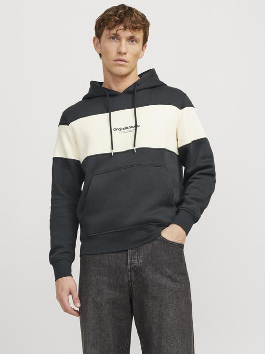 Actual product image Jack & Jones Jorvesterbro Block Sweat Hood Styd Aw24 (S)