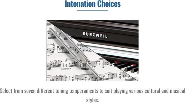 Produktbild Kurzweil M120 - Rosewood PVC (88 Tasten)