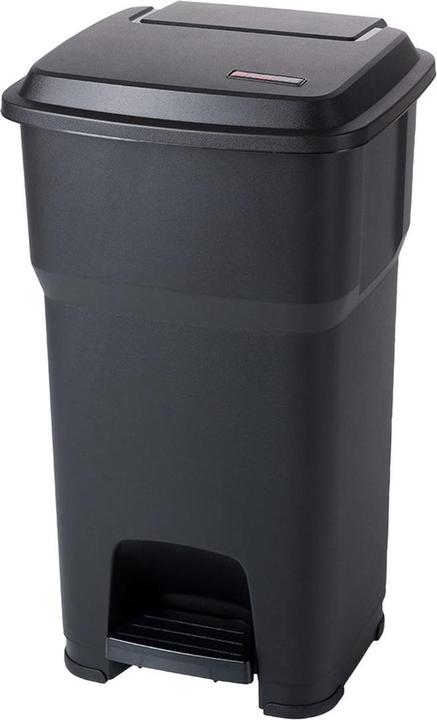 Actual product image Rotho Hera (60 l)