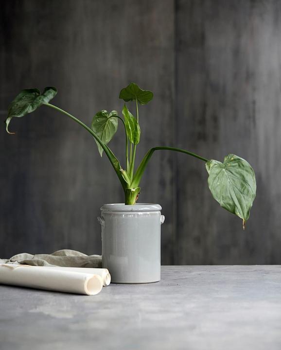 Image du produit House Doctor Pottery (22 cm)