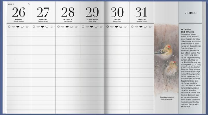 Image du produit Der illustrierte Vogelkalender 2026