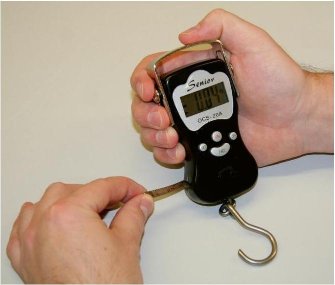 Actual product image Kerbl DigiScale 50