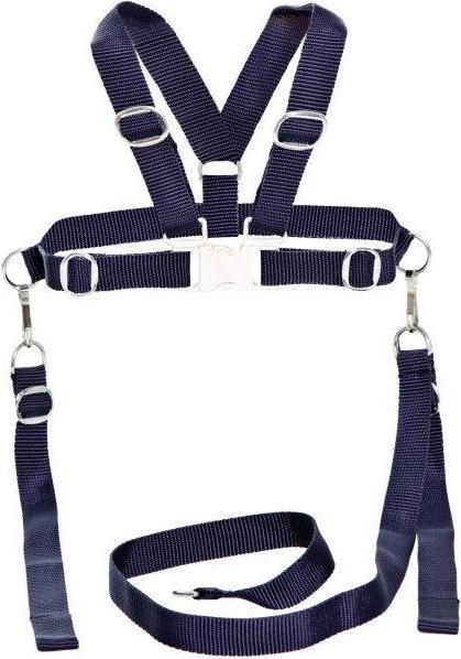 Actual product image Sunnybaby Child safety harness