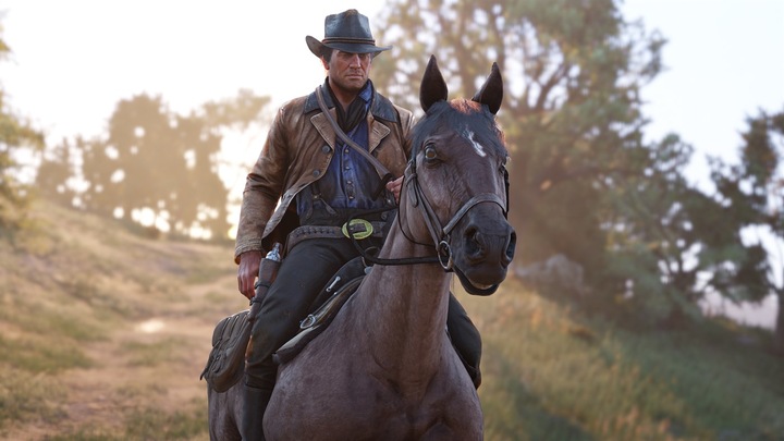 Actual product image Microsoft Dead Redemption 2 Standard Xbox One (Xbox One S, EN)