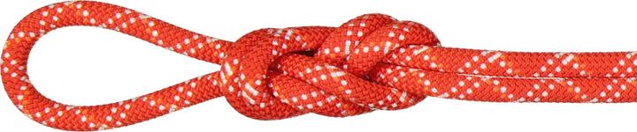 Mammut Kletterseil 9.5 Gym Classic Rope 40 m (40 m)