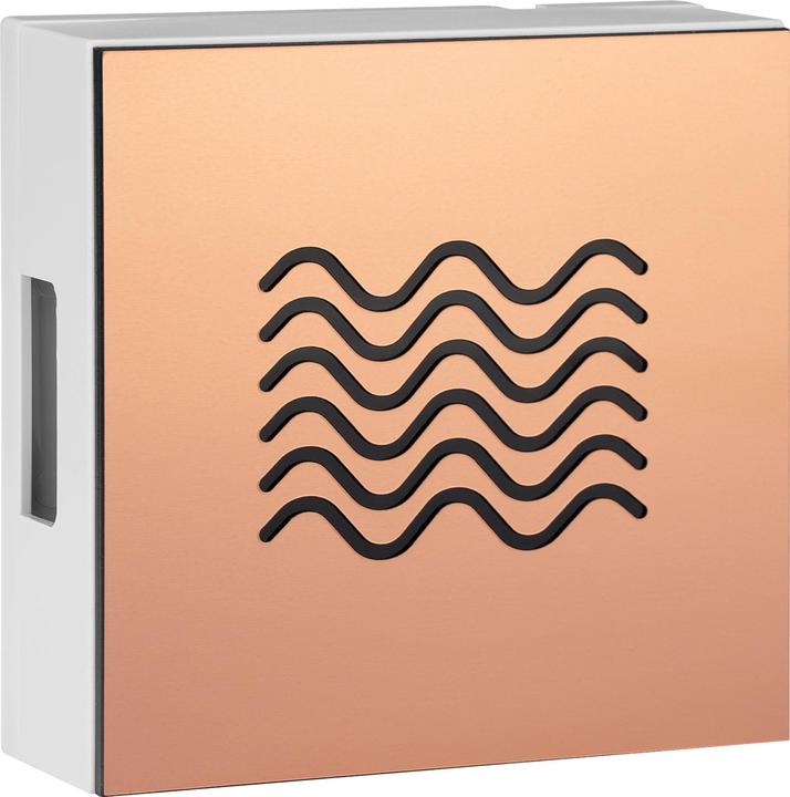 Image du produit Grothe Gong à deux tons