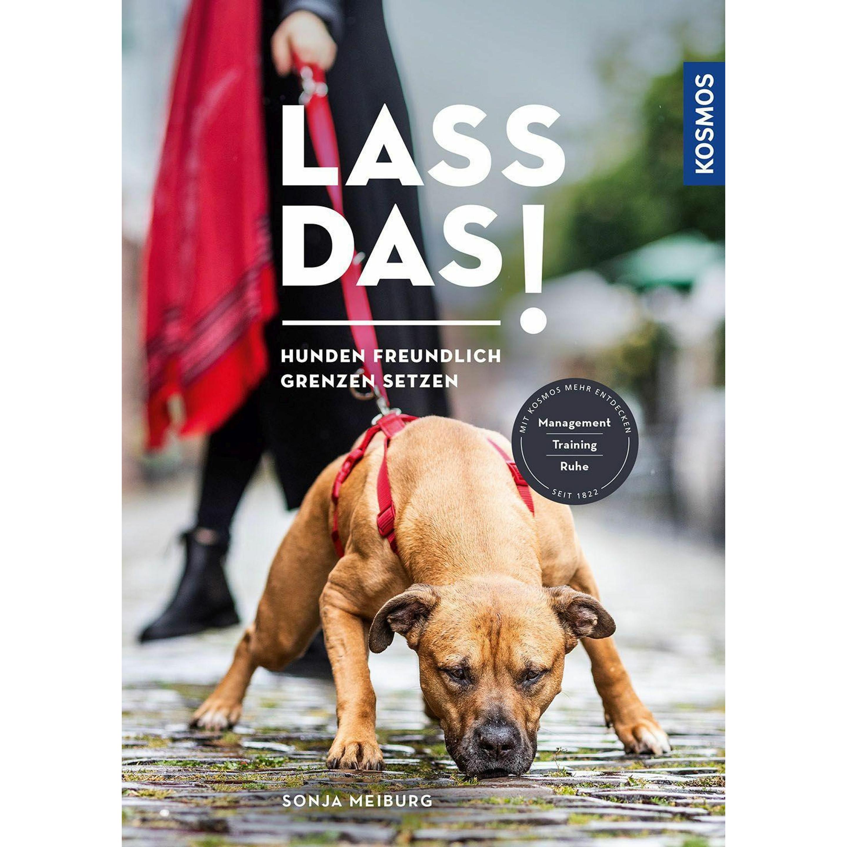 Lass das!, Ratgeber von Sonja Meiburg