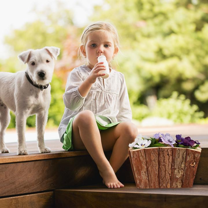 Actual product image Relaxdays Wooden flower box (32 cm)