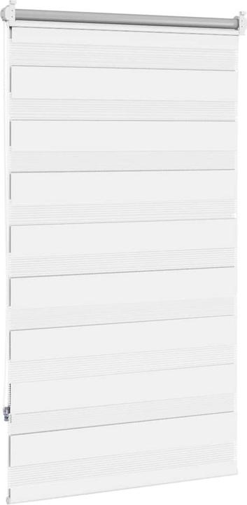 Produktbild vidaXL Doppelrollo (70 x 120 cm)