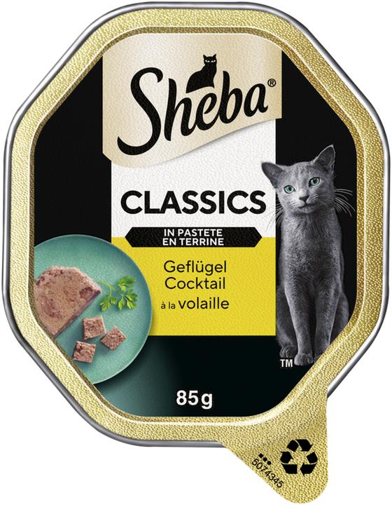 Immagine prodotto Sheba I classici del paté di pollame (Adulto, 22 pz., 1870 g)