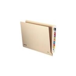 Thumbnail - Leitz, Mappe, Einstellmappe OrgacolorPlus, A4, mit Tab, chamois (A4, 50 x)