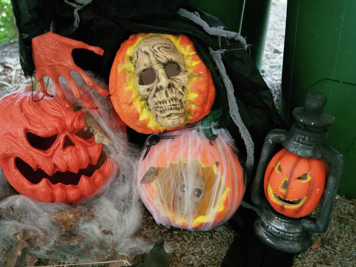 Actual product image Europalms Halloween skull pumpkin, 26cm