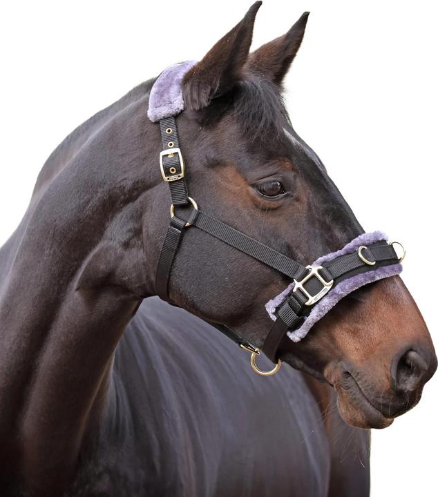 Image du produit Shires - Caveçon de longe pour chevaux