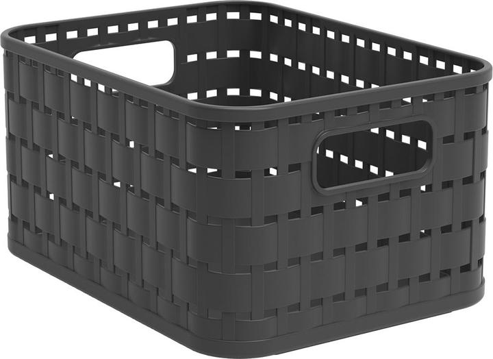 Immagine prodotto Rotho Paese (1 x, 37 x 28 x 19 cm)
