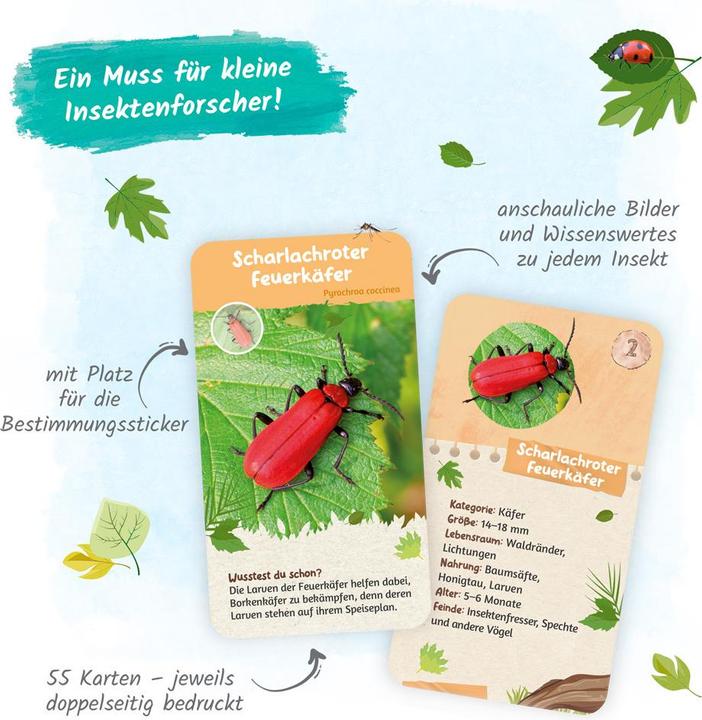 Actual product image 55 flashcards native insects