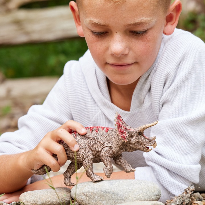 Immagine prodotto Schleich Triceratopo