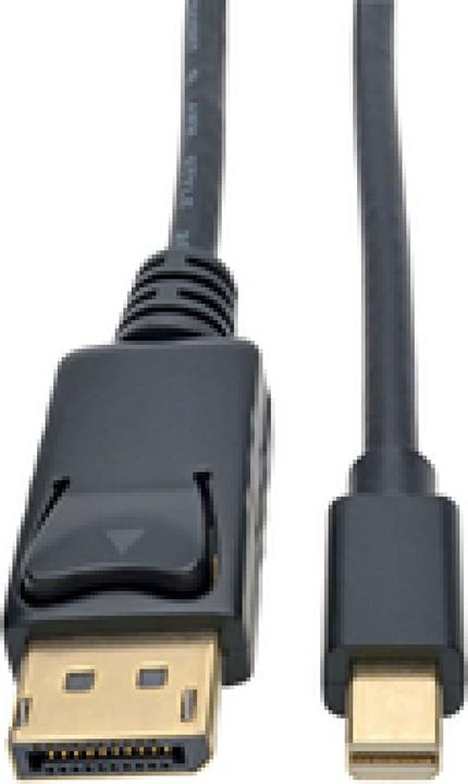 Produktbild Eaton Mini DisplayPort to DisplayPort Adapter Cable M/M 4K 60Hz Black 3ft. 0.9m (0.90 m)