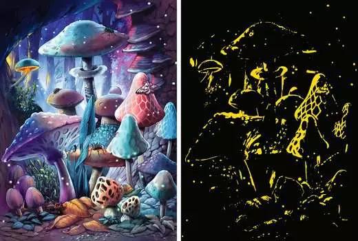 Actual product image Ravensburger Adult puzzle 500 Teile - Moonlight Mushrooms (500 pieces)