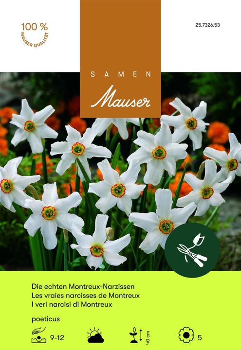 Image du produit Samen Mauser Véritable narcisse de Montreux (Bulbes de fleurs)