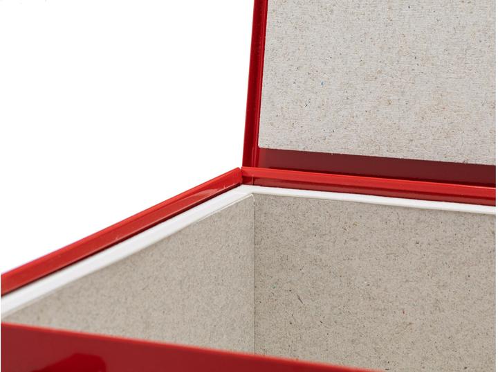 Produktbild Willimann LiPo-Firesafe Typ 04 438 x 335 x 227 mm (38 cm, 44.50 cm)