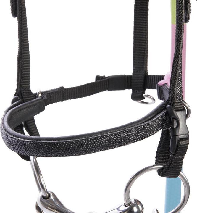 Immagine prodotto Fouganza Snaffle Pony Beginner in pelle