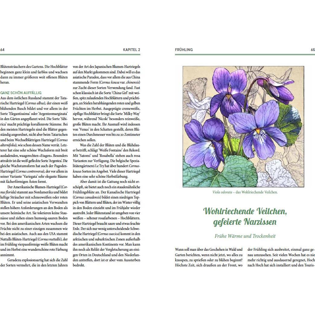 Thumbnail - Von fiesen Schädlingen, duftenden Kräutern und üppigen Blumen, Ratgeber von Andreas Honegger