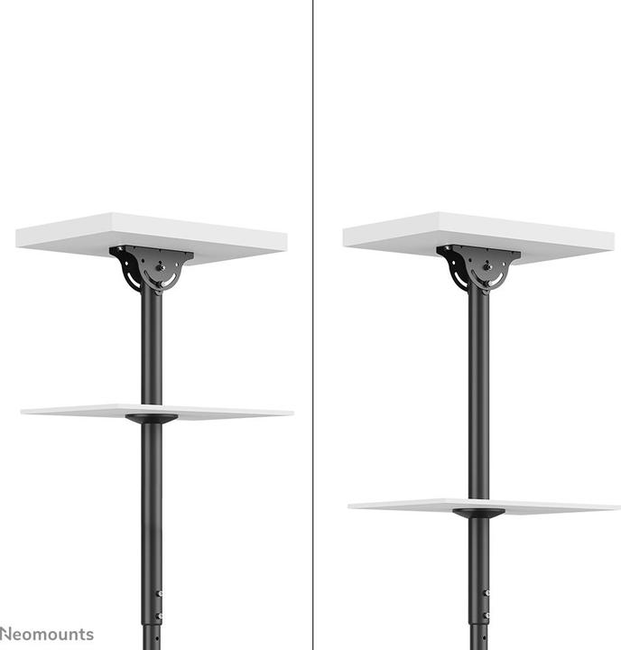 Actual product image Neomounts CL35-340BL22 (Ceiling, 42", 45 kg)