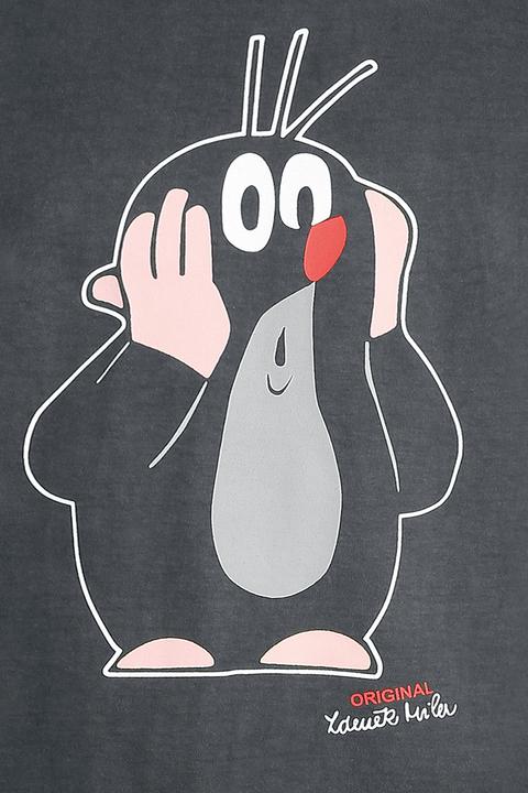 Produktbild Der kleine Maulwurf Oh Oh! (S)