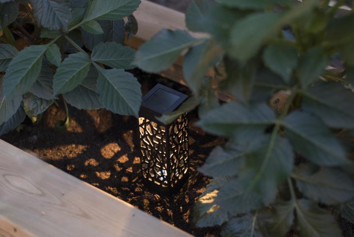 Produktbild Star Trading Izola mini (60 m)