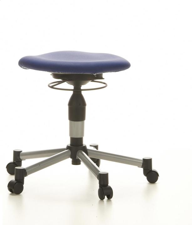 Actual product image Topstar Body Balance 20