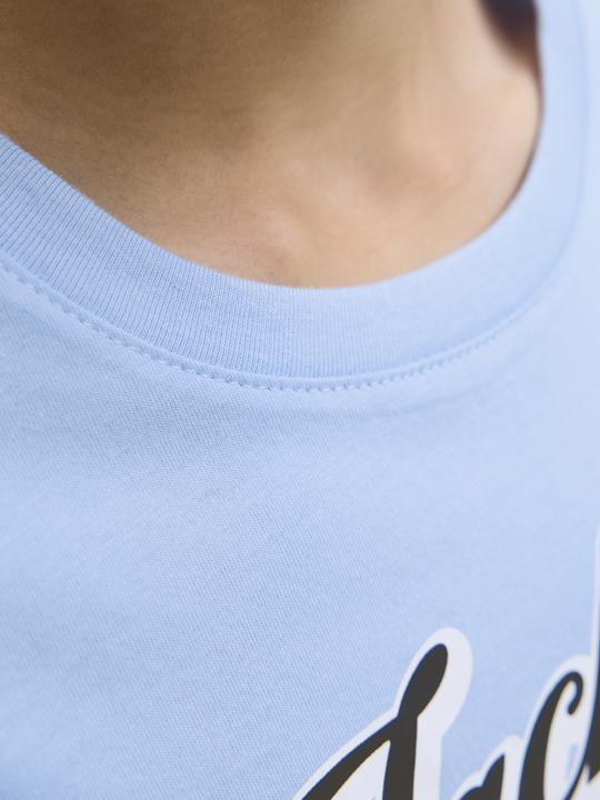 Actual product image Jack & Jones Jjelogo Tee Ss Oneck 2 Col Aw25 Noos Jnr (152)