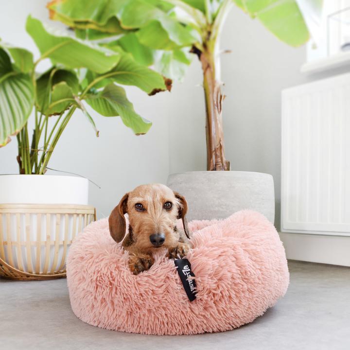 Produktbild District 70 Flaum Donut (Hund)