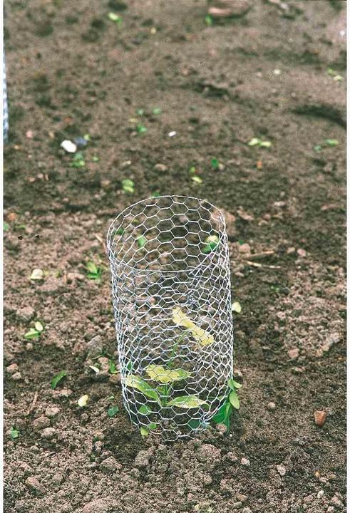 Produktbild Magni Hexanet verzinkt 25/0,8/1000/25 m