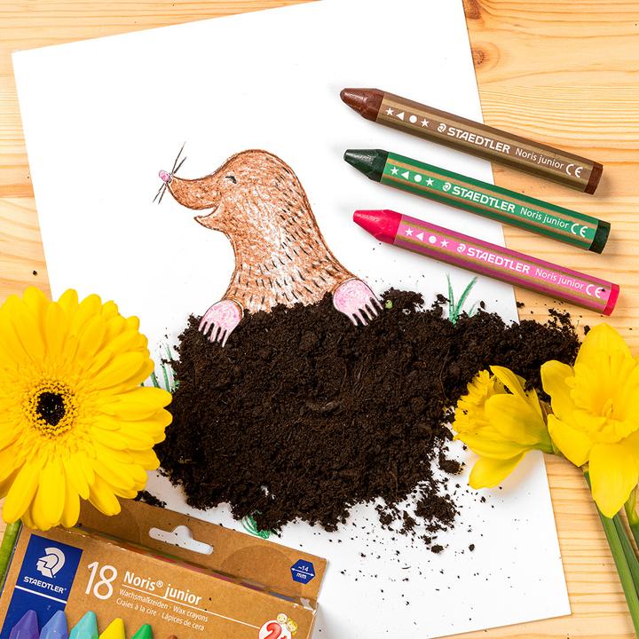 Actual product image Staedtler Noris Junior (Multicoloured, 18 x)