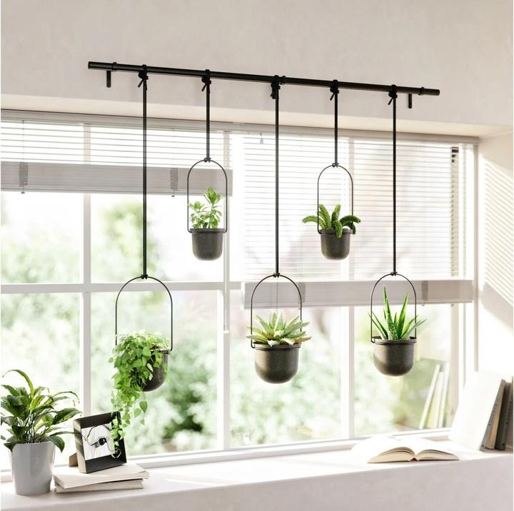 Produktbild Umbra Triflora (15 x 95 cm)