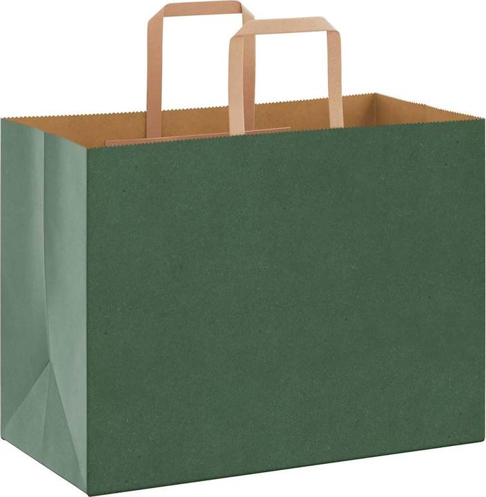 Image du produit VidaXL Sacs en papier kraft 250 pcs. avec anse Vert 32x17x25 cm Sac en papier (Pochette cadeau, 250 x)