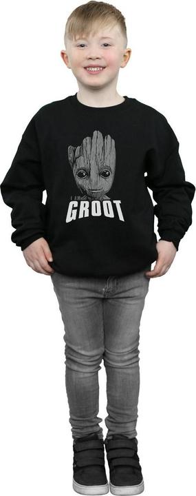 Image du produit - Sweat GUARDIANS OF THE GALAXY GROOT FACE - Garçon (152, 158)