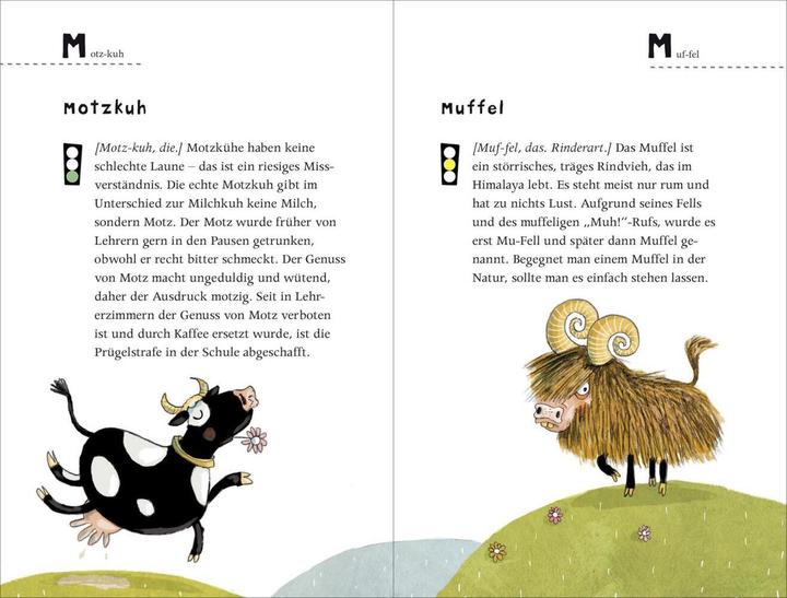 Image du produit Dr. Tielmanns streng geheimes Schimpfwörterbuch (Allemand, Christian Tielmann, 2018)