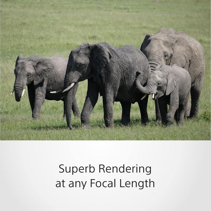 Actual product image Sony E 70-350mm f/4.5-6.3 G OSS (Sony E, APS-C / DX)