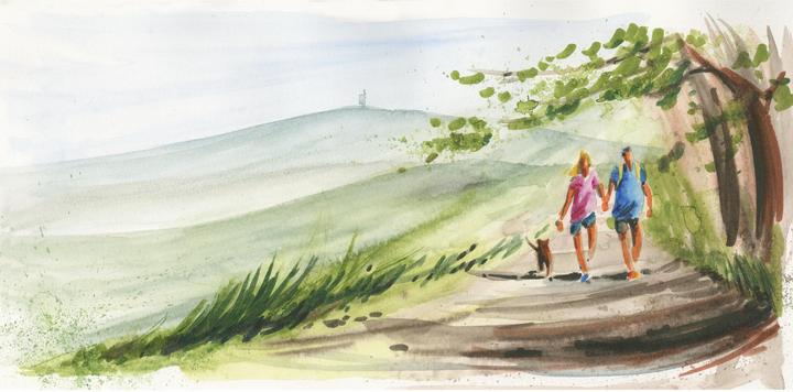 Produktbild Faber-Castell Albrecht Dürer Watercolour Marker (16x)