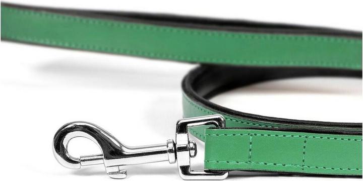 Produktbild Gloria Hundeleine 1.8 x 100 cm grün (Hund)