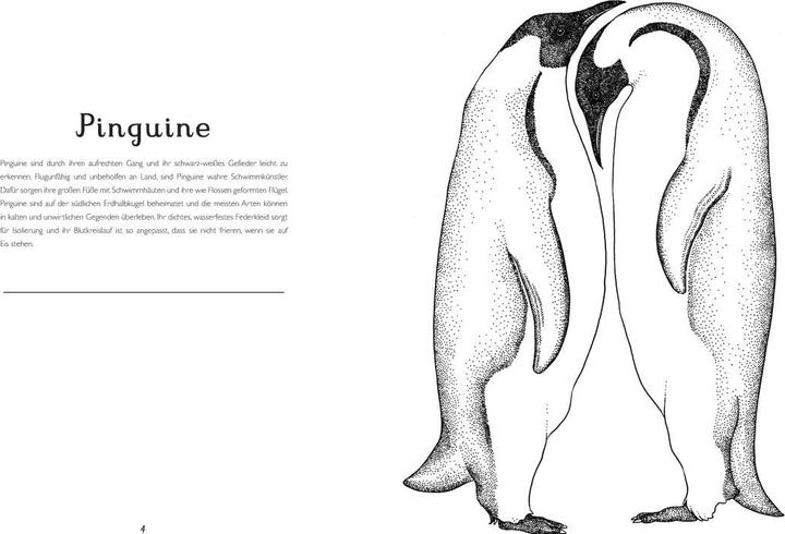 Actual product image The Museum of Animals. My coloring book